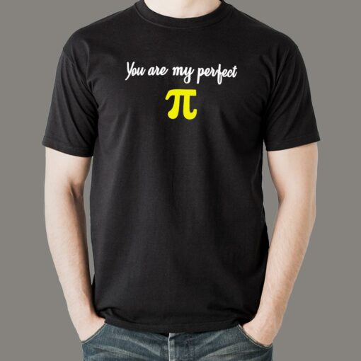 Perfect Pi T-Shirt – Math Love Declaration