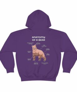 Bear Sand Bear Sand