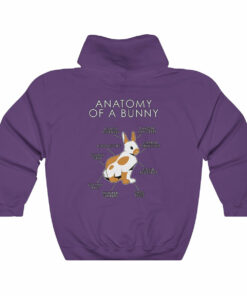 Bunny Orange Bunny Orange