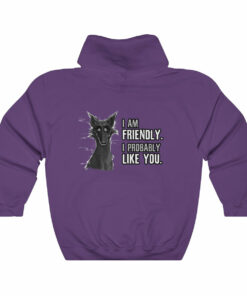 I probably DON’T hate you