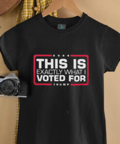 This is exactly what I voted for Trump shirt