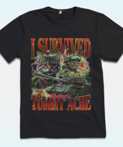 I Survived Today’s Tummy Ache Shirt, Cat Meme I Survived Today’s Tummy Ache Shirt, Cat Meme