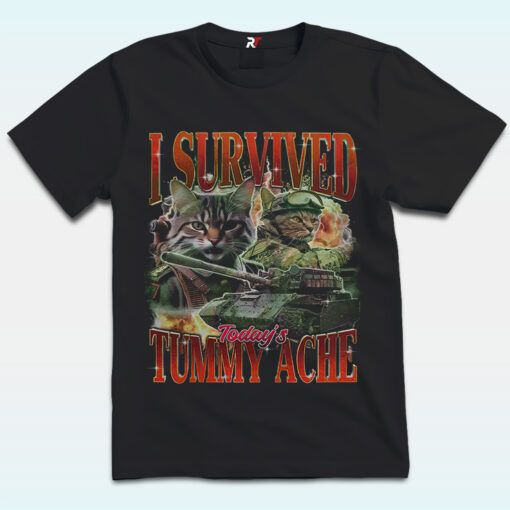 I Survived Today’s Tummy Ache Shirt, Cat Meme